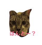 セブンといっしょ（個別スタンプ：7）