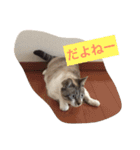 セブンといっしょ（個別スタンプ：8）
