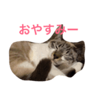 セブンといっしょ（個別スタンプ：9）