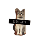 セブンといっしょ（個別スタンプ：12）