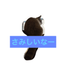 セブンといっしょ（個別スタンプ：13）