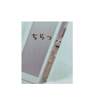 ねこのぽんたくん日常会話（個別スタンプ：20）