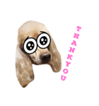 愛犬プリン（個別スタンプ：5）