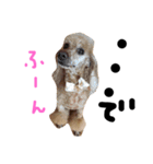 愛犬プリン（個別スタンプ：8）