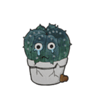 Cactus World（個別スタンプ：7）