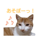 もんちゃんのスタンプ 日常編2（個別スタンプ：3）