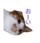 もんちゃんのスタンプ 日常編2（個別スタンプ：7）
