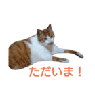 もんちゃんのスタンプ 日常編2（個別スタンプ：10）