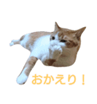 もんちゃんのスタンプ 日常編2（個別スタンプ：11）