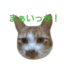 もんちゃんのスタンプ 日常編2（個別スタンプ：12）