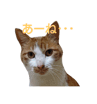 もんちゃんのスタンプ 日常編2（個別スタンプ：19）