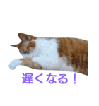 もんちゃんのスタンプ 日常編2（個別スタンプ：21）