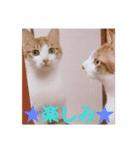 もんちゃんのスタンプ 日常編2（個別スタンプ：23）