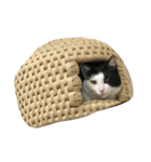 どん社長（個別スタンプ：1）