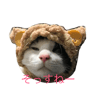 どん社長（個別スタンプ：7）