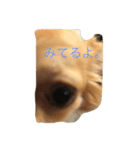 LEO-1（個別スタンプ：2）