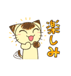 にらみねこしぃちゃん2（個別スタンプ：9）