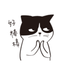 Chill Cat（個別スタンプ：1）