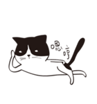 Chill Cat（個別スタンプ：2）