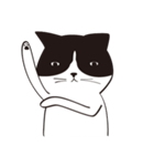 Chill Cat（個別スタンプ：3）