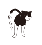 Chill Cat（個別スタンプ：4）