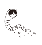 Chill Cat（個別スタンプ：8）