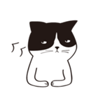 Chill Cat（個別スタンプ：13）
