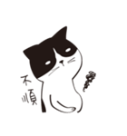 Chill Cat（個別スタンプ：14）