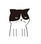 Chill Cat（個別スタンプ：15）