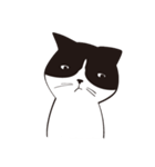 Chill Cat（個別スタンプ：16）
