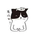 Chill Cat（個別スタンプ：17）