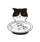 Chill Cat（個別スタンプ：18）