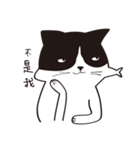 Chill Cat（個別スタンプ：20）