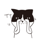Chill Cat（個別スタンプ：23）