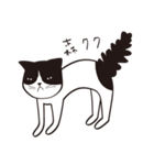 Chill Cat（個別スタンプ：33）