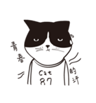 Chill Cat（個別スタンプ：36）