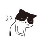 Chill Cat（個別スタンプ：37）