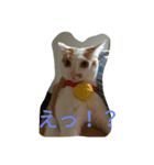 ツバサ0117（個別スタンプ：2）