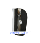ツバサ0117（個別スタンプ：5）