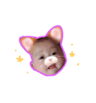 みーちゃん用（個別スタンプ：8）