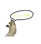 猫のキトさん2（個別スタンプ：7）