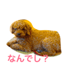 世界一周アニマルスタンプ（個別スタンプ：1）