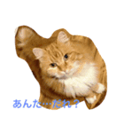 世界一周アニマルスタンプ（個別スタンプ：5）