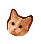 猫のルーク様スタンプ（個別スタンプ：18）