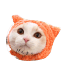 猫のルーク様スタンプ（個別スタンプ：32）