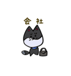 しばっしーエブリデイ（個別スタンプ：13）