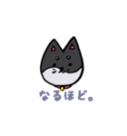 しばっしーエブリデイ（個別スタンプ：18）