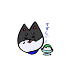 しばっしーエブリデイ（個別スタンプ：22）