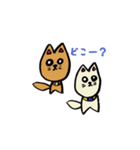 しばっしーエブリデイ（個別スタンプ：25）