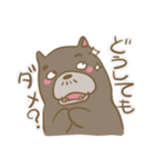 感じ悪いくま（個別スタンプ：10）